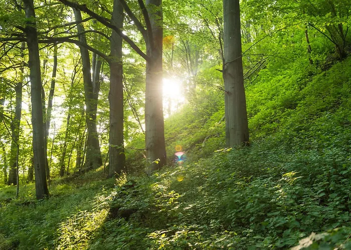 Kristall 3* Bad Marienberg